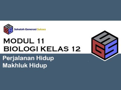 course thumbnail
