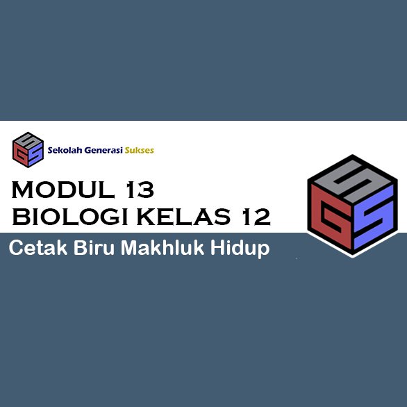 Biologi 13